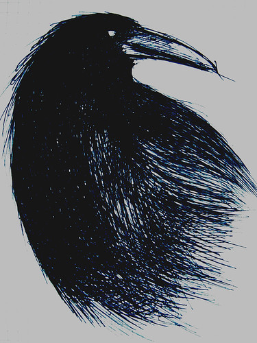 Crow by The People In My Head