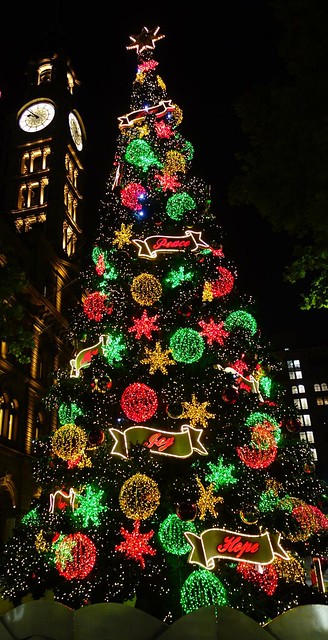 Martin Place, Sydney Christmas Tree lit up at night