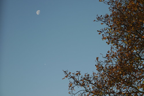 Morning Moon in December