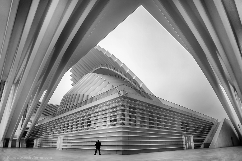 A solas con Calatrava - Palacio de Congresos de Oviedo