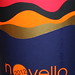 IMG_1897Vino Novello  is a light,fruity,red wine produced throughout Italy and the grapes are not crushed but are fermented using whole grapes, allowing for only a minimum percentage of sugar to be converted into alcohol, ensuring the wine has a smooth, f