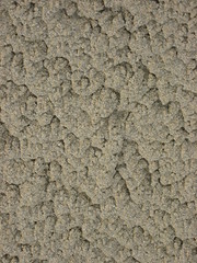 Holywell Sand Abstracts