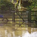 Two days of the Avon in Flood 23rd & 24th (21)