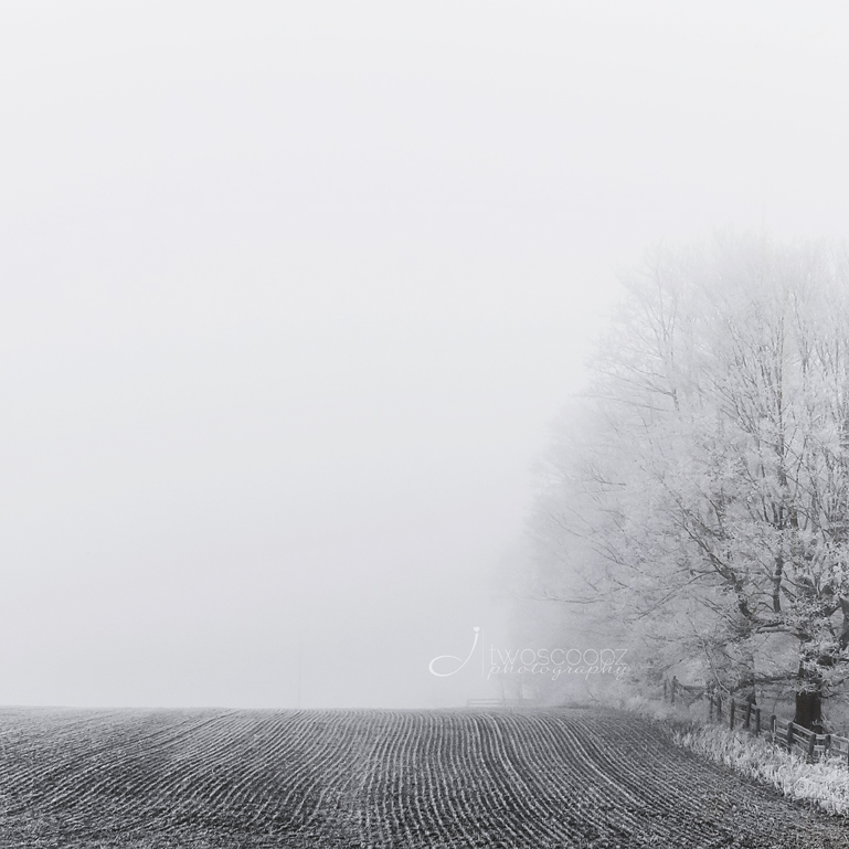 frosty fog