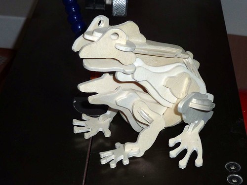 3D Frosch, Erstversuch