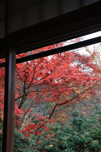 Autumn Rurikouin 瑠璃光院