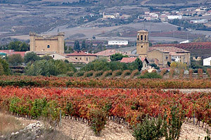 Viñedos de Castillo de Sajazarra.