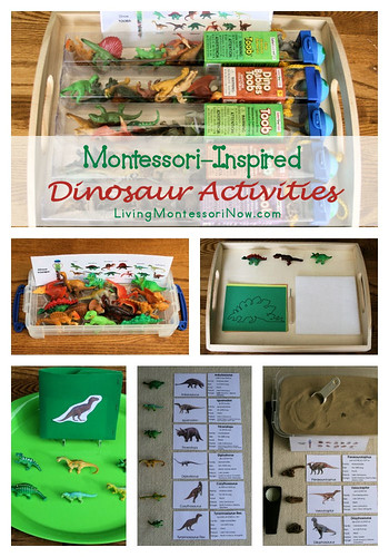 Montessori-Inpsired Dinosaur Activities Using Dinosaur Replicas