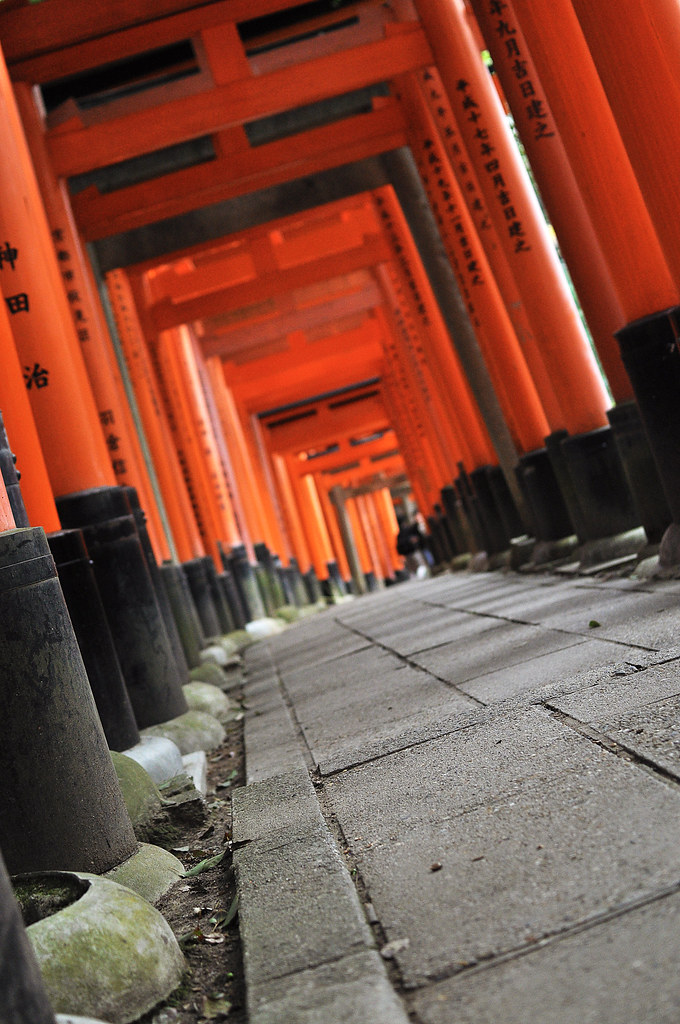 Fushimi Inari 4