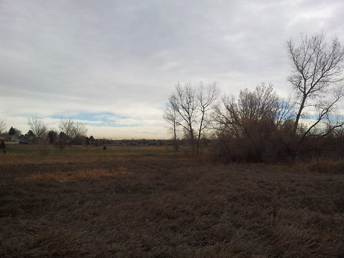 ##tommw 50F mostly cloudy. light breeze