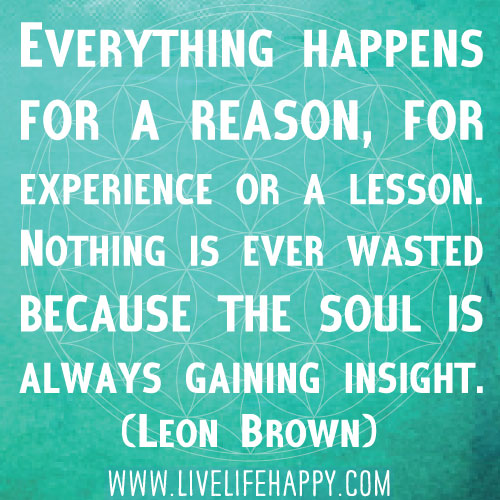 Everything happens for a reason, for experience or a lesson. Nothing is ever wasted because the soul is always gaining insight. - Leon Brown