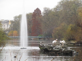 London Park