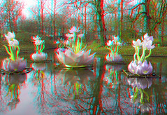 Reflections 3D anaglyph