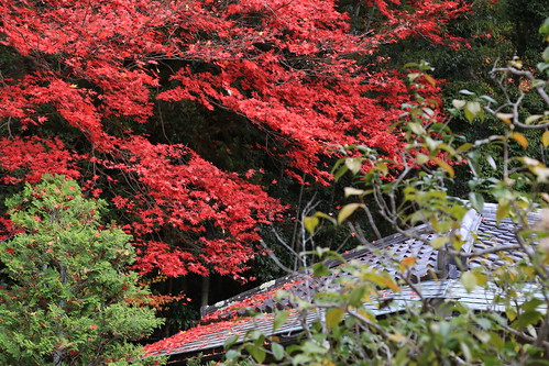 Autumn Nanzen-ji 南禅寺