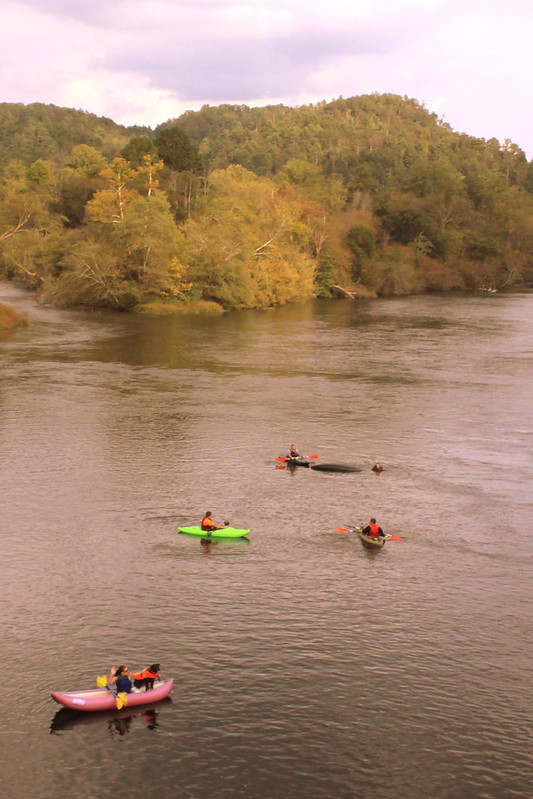 Kayaking in the Hiwassee River