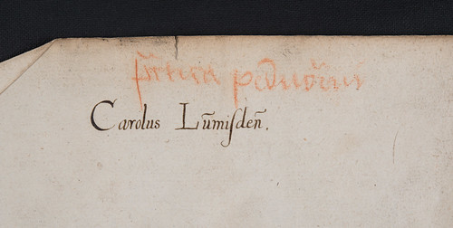 Manuscript autograph in Auerbach, Johannes: Processus iudiciarius