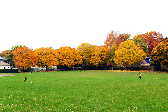 Colorful Soccer Field
