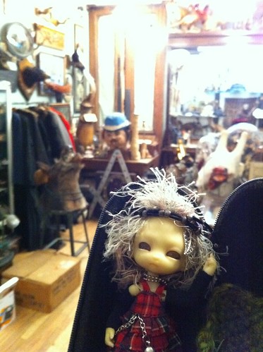 Inside Oddities TV Show Obscura Antiques For Some PowerMosT Shop'nZ! by DollZWize