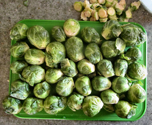 Brussels sprouts Trimmed