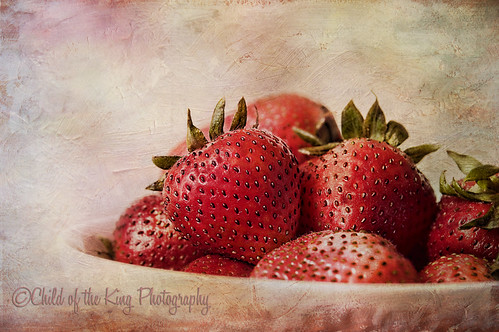 Berries by Child of the King Photography