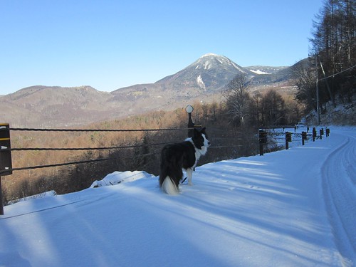 蓼科山と雪の散歩道　2012年12月3日9:19 by Poran111