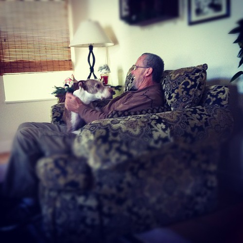 Mina loves "grandpa" #dog #pitbull #vegandog