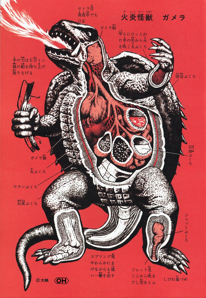 Shoji Ohtomo - "Kaiju Zukan" (Monster Picture Book) Page 82, Gamera
