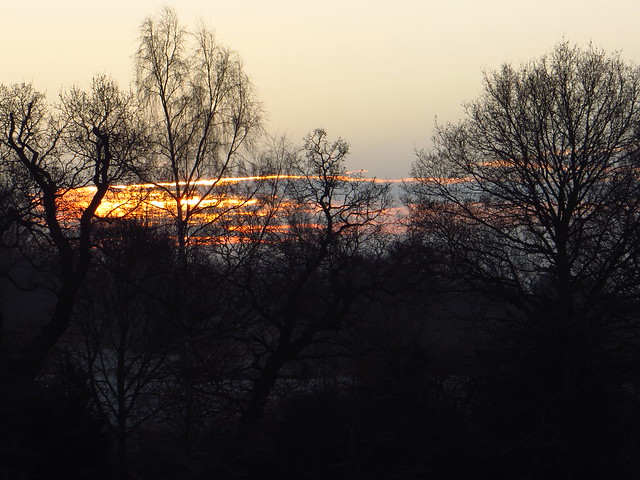 Winter Sunrise at Lower Cohen's Field