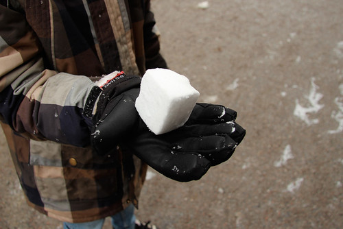A Picasso Snowball