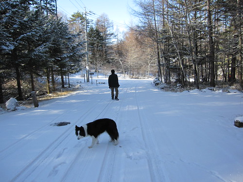 雪の中の散歩・・・2012.12.3 by Poran111