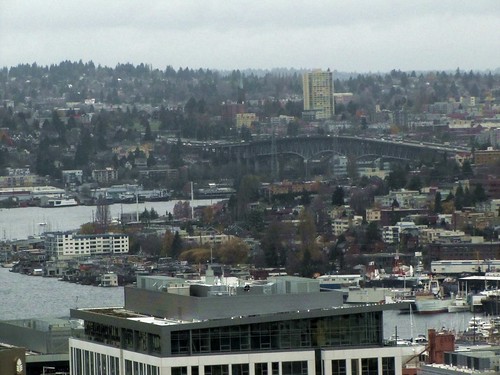 bridge view