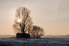 The Dutch winter
