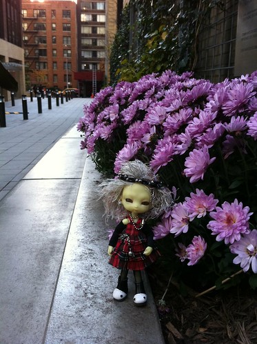 EverTings Always Bloom'nZ In's NYC by DollZWize
