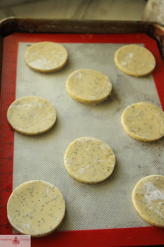 Almond Poppyseed Frosted Cookies