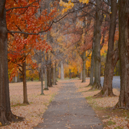 Autumn Path by paynehollow