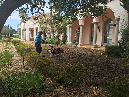 Gardening Expert in Santa Barbara