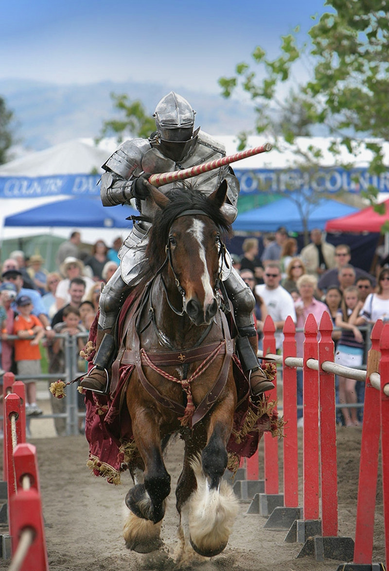 Jousting knight in a modern reenactment. Credit David Ball