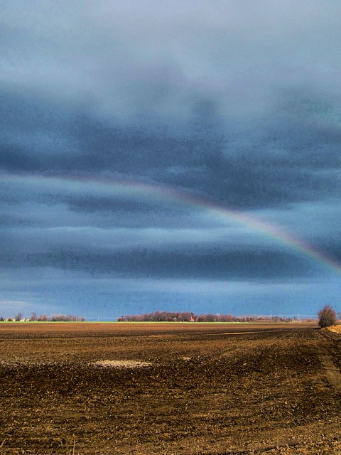 Rainbow over cornfield HDR 20121110