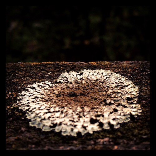 ritualcircle by Nature Morte