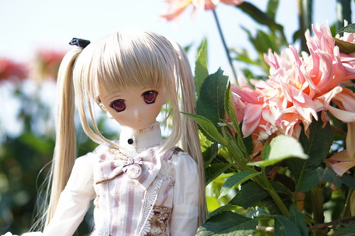 Rose Garden (2012 Autumn)