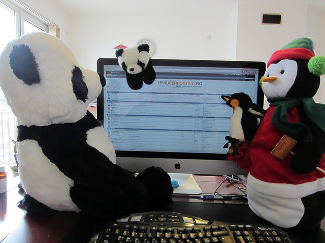 Panda&Penguin Update