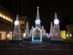 2012 Daikanyama Winter