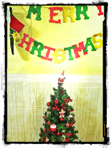 Busan Christmas Decorations