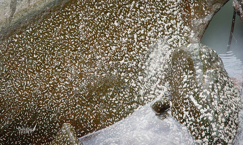 磺溪溫泉