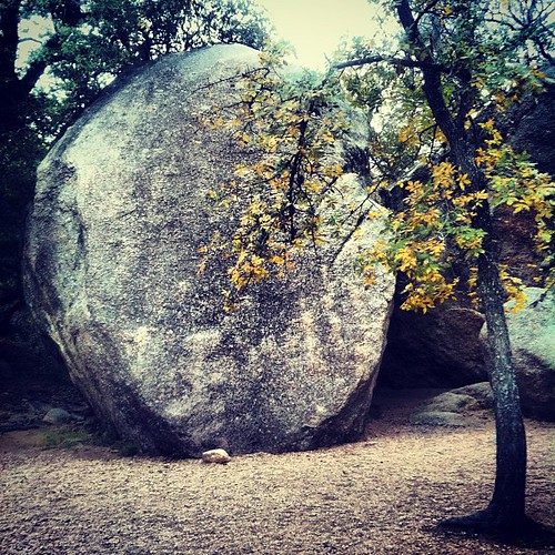 Giant rock orb, turning leaves. Texas autumn.