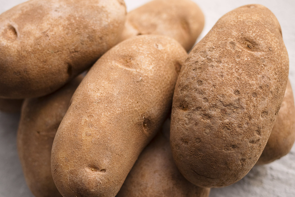 P1050584粉質馬鈴薯Floury potato Russet Burbank potato