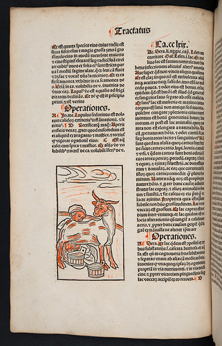 Decorated woodcut in Hortus sanitatis by University of Glasgow Library
