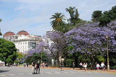 Buenos Aires 2012