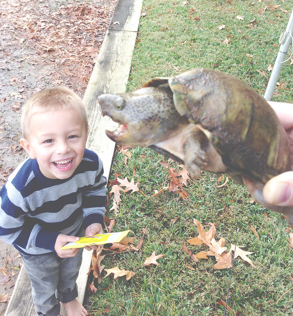 ben and the turtle