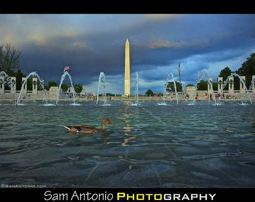 Oh Duck! National World War II Memorial - Washington, D.C. by Sam Antonio Photography